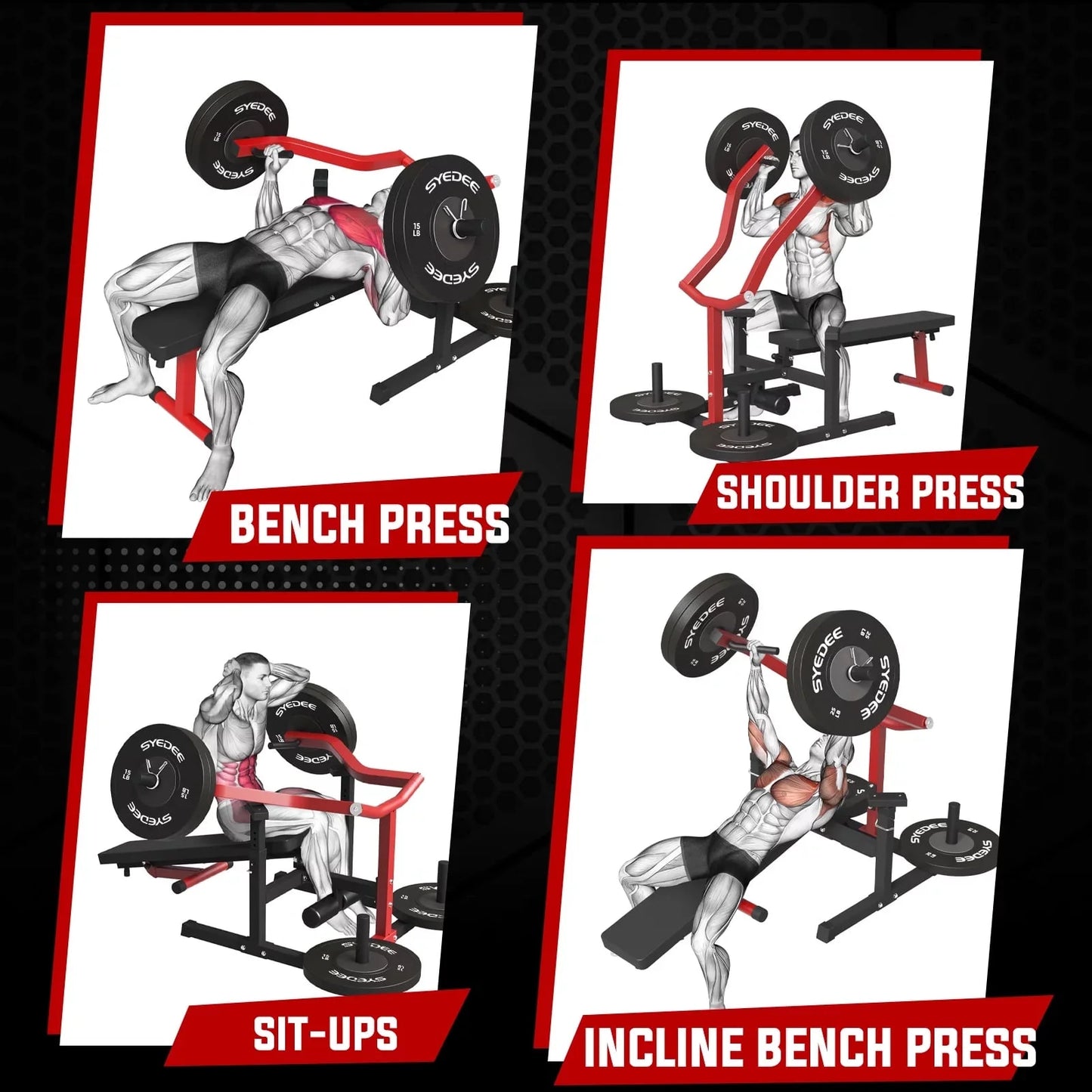 All-in-One Home Gym System – Folding Chest Press & Full Body Strength Training Machine