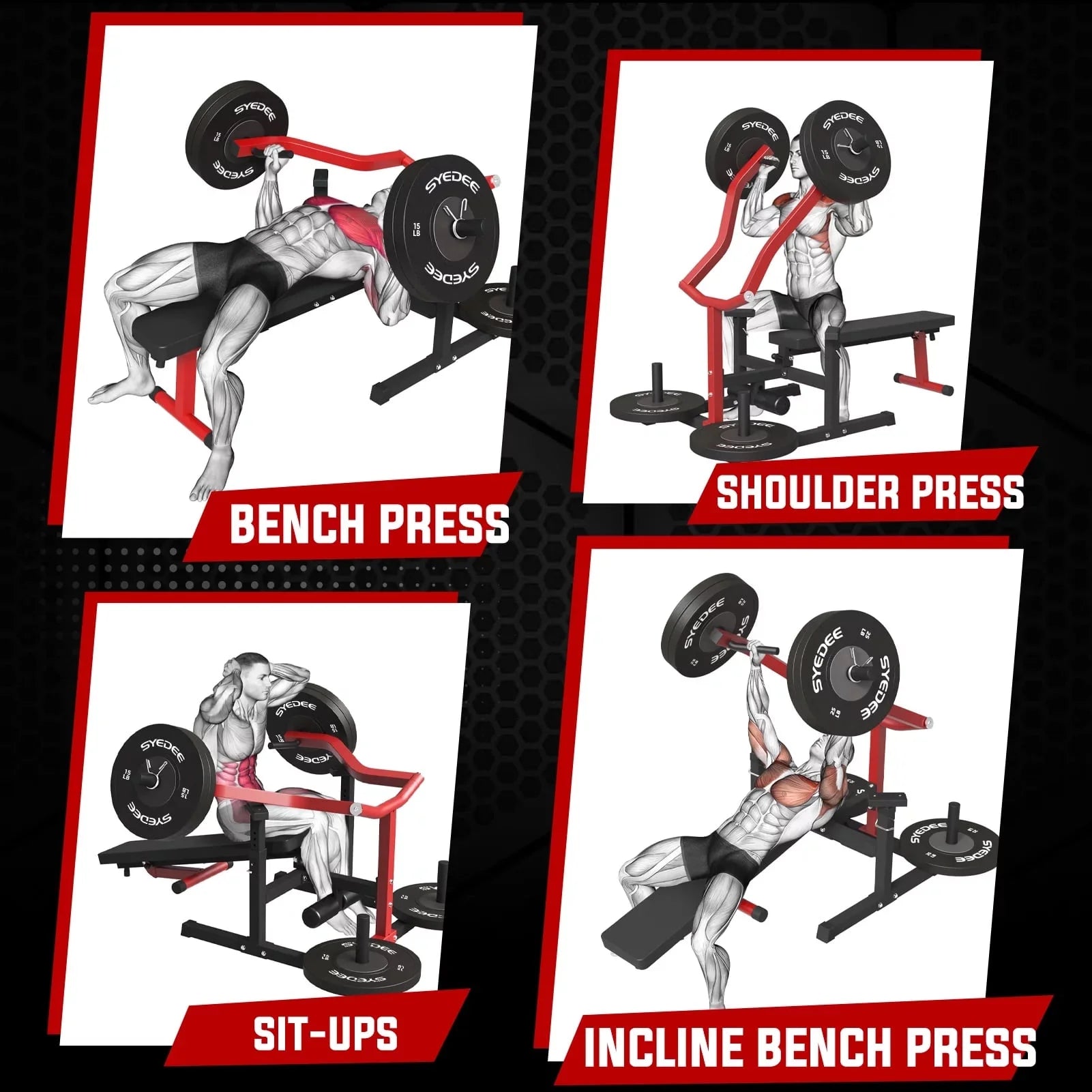 All-in-One Home Gym System – Folding Chest Press & Full Body Strength Training Machine